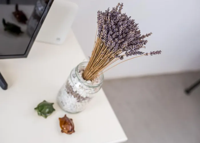 Apartamento Euphoria Luxury