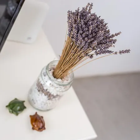 アパート Euphoria Luxury